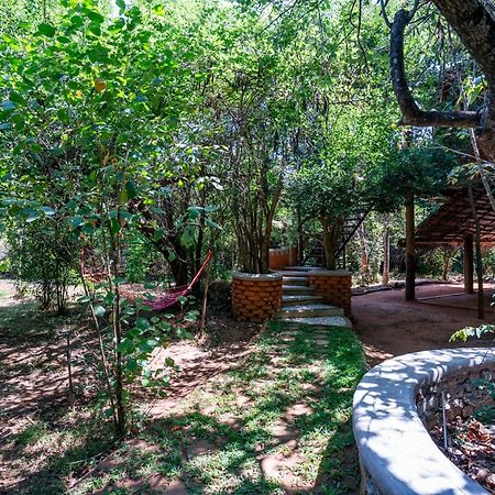 The Thick Forest Sigiriya Luaran gambar