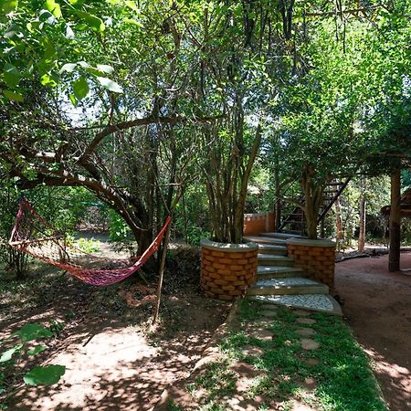The Thick Forest Sigiriya Luaran gambar