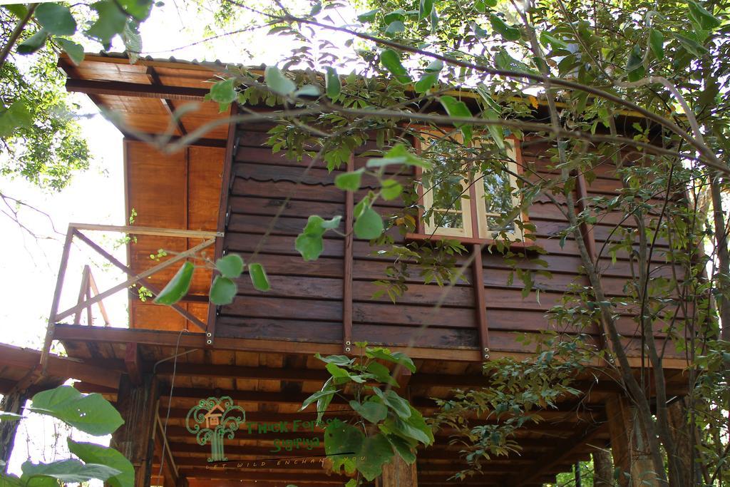 The Thick Forest Sigiriya Bilik gambar