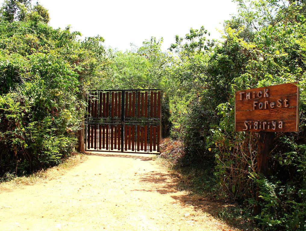 The Thick Forest Sigiriya Luaran gambar