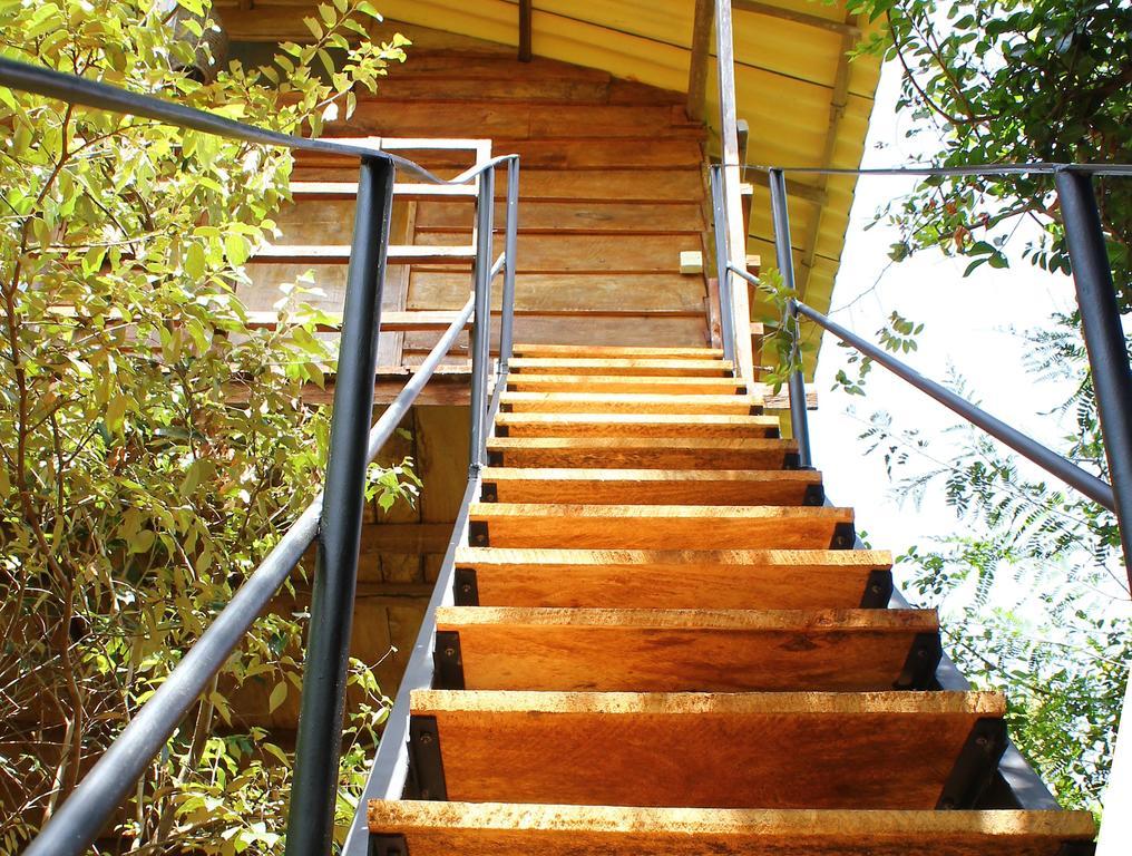 The Thick Forest Sigiriya Bilik gambar