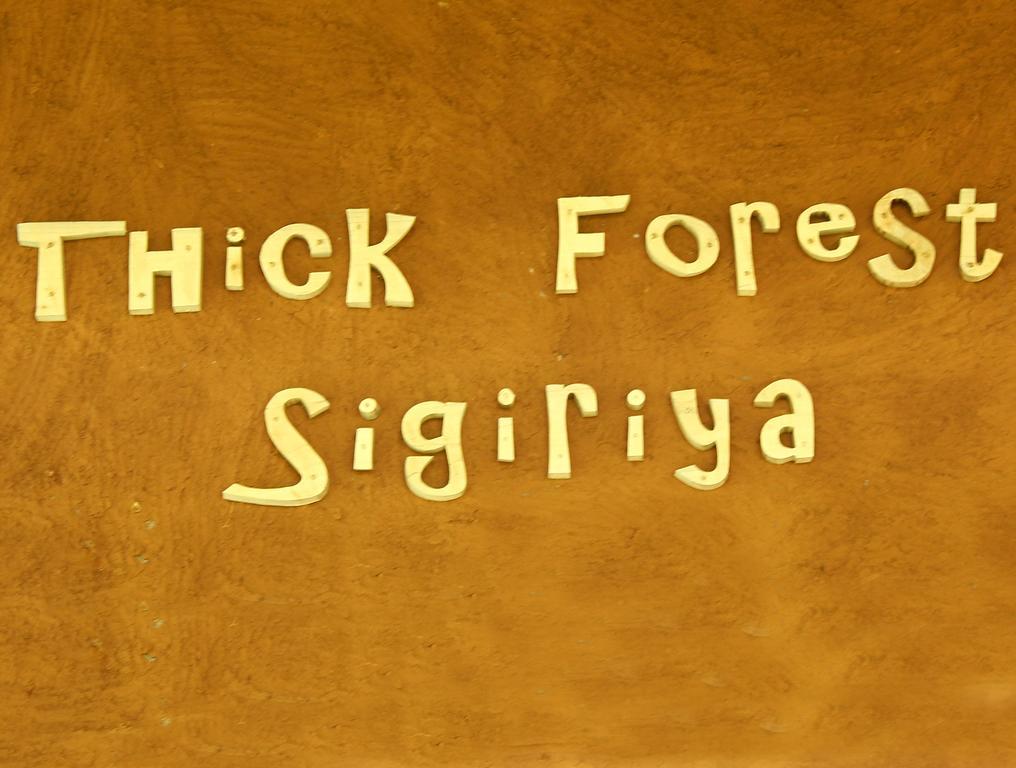 The Thick Forest Sigiriya Luaran gambar