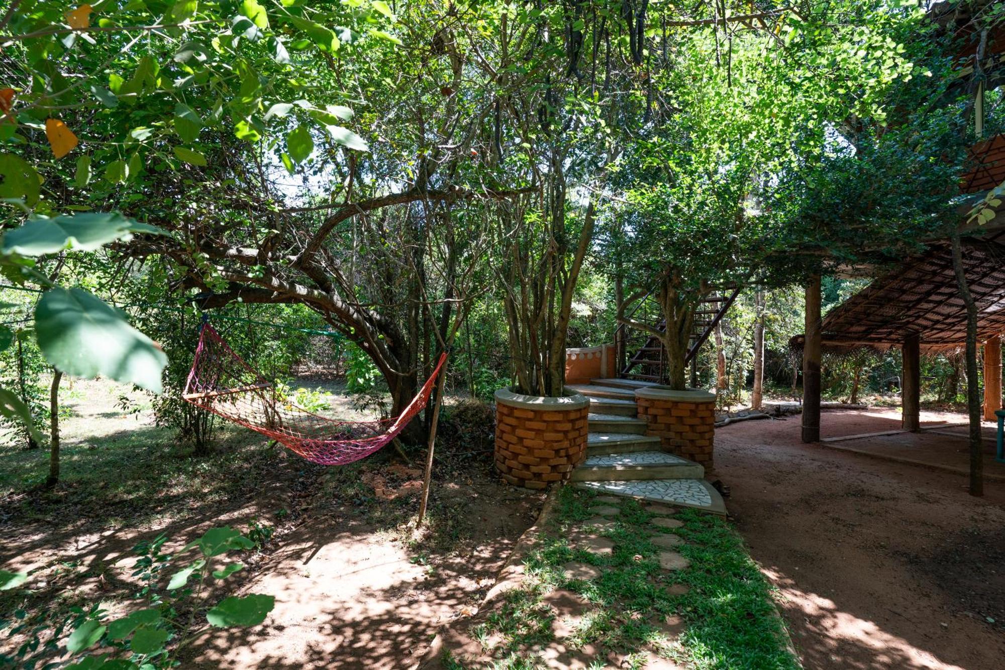 The Thick Forest Sigiriya Luaran gambar