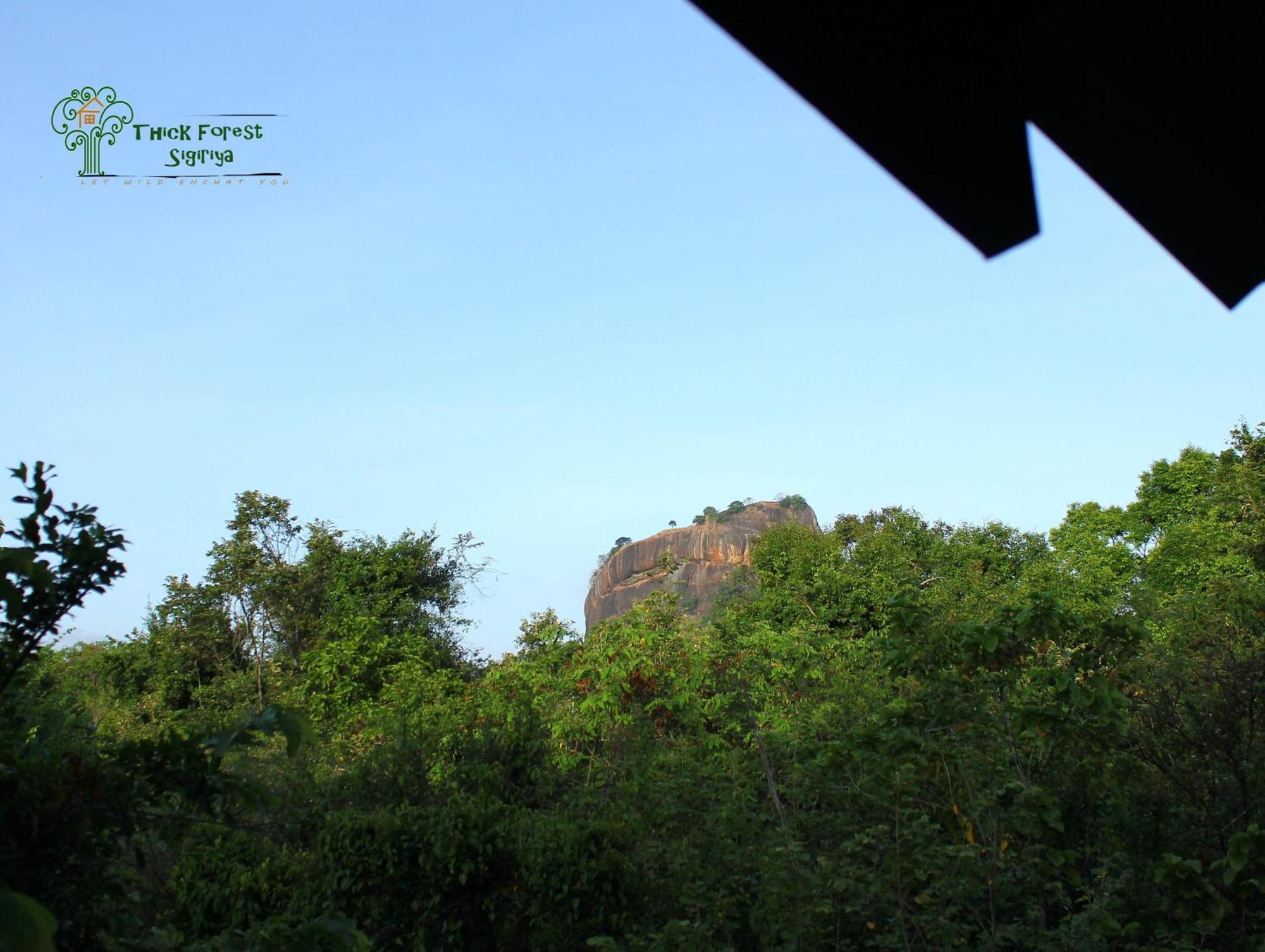 The Thick Forest Sigiriya Bilik gambar