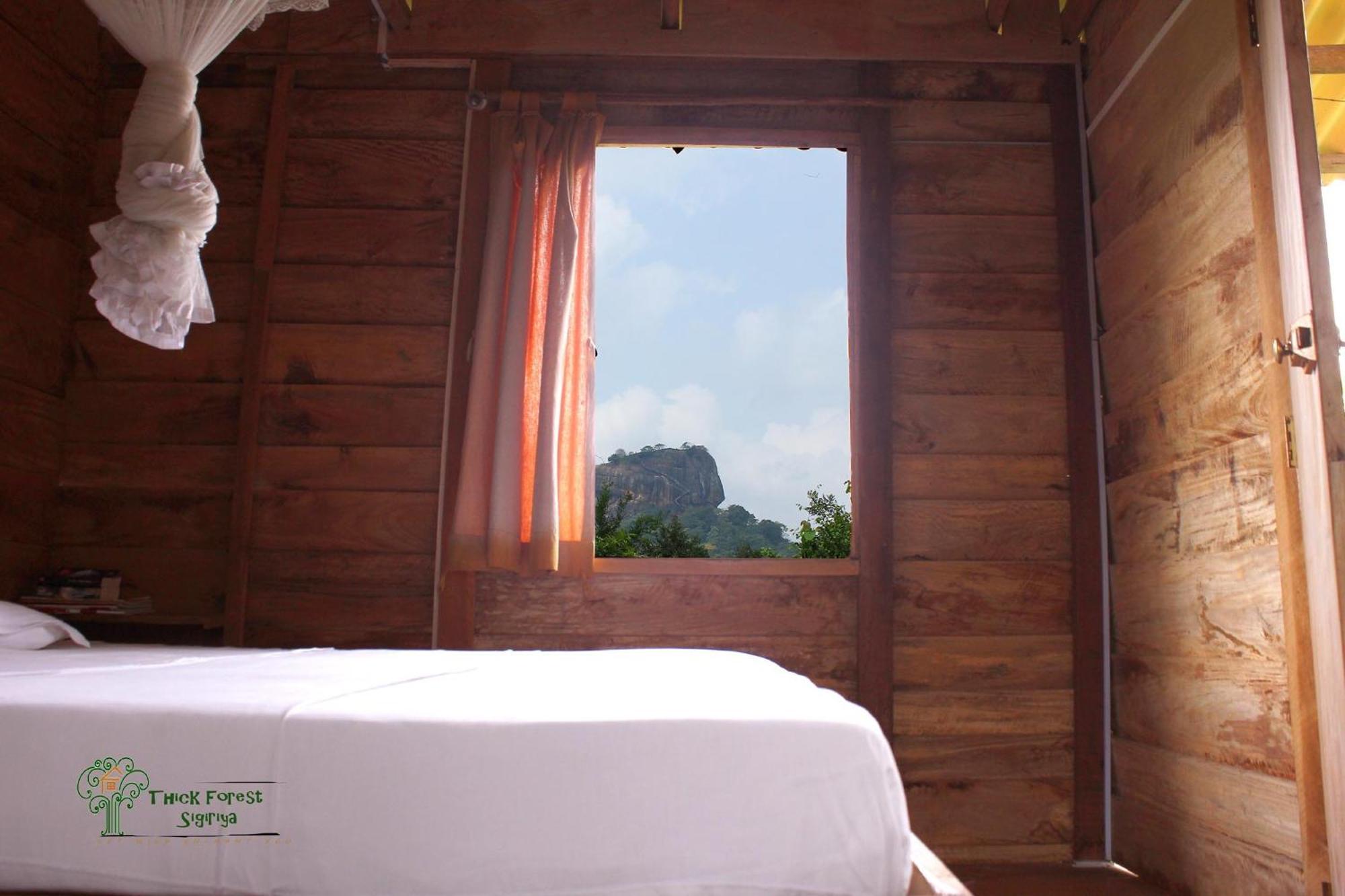 The Thick Forest Sigiriya Bilik gambar
