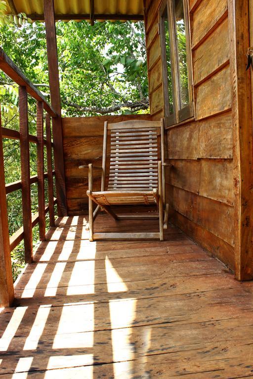 The Thick Forest Sigiriya Bilik gambar