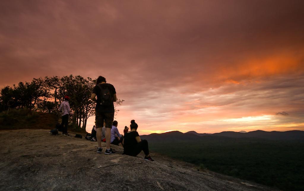 The Thick Forest Sigiriya Luaran gambar
