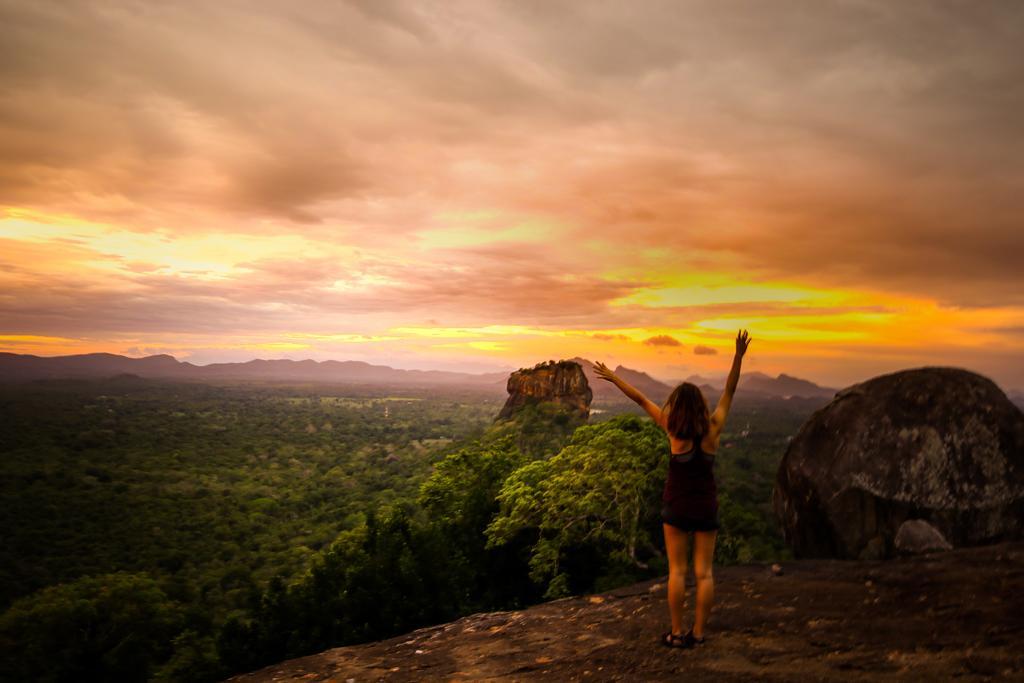 The Thick Forest Sigiriya Luaran gambar