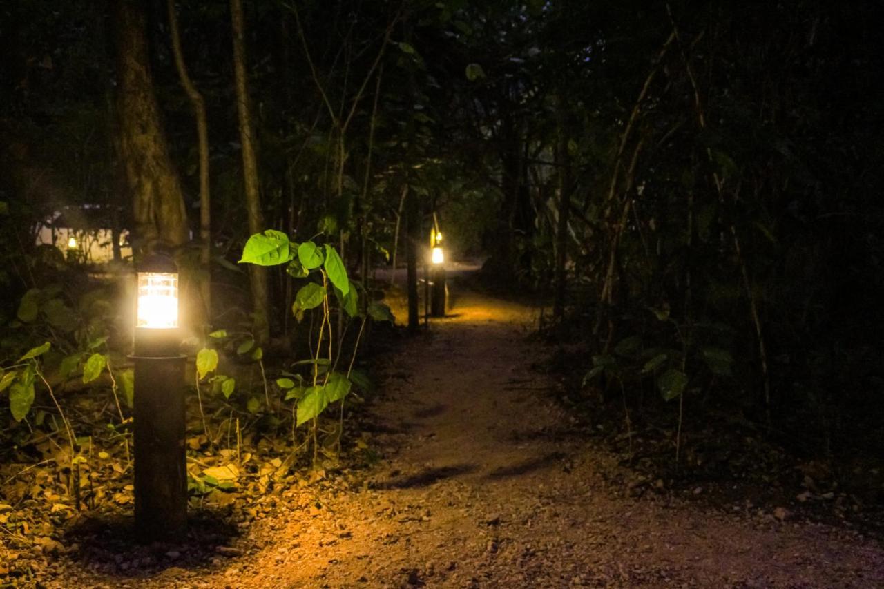 The Thick Forest Sigiriya Luaran gambar