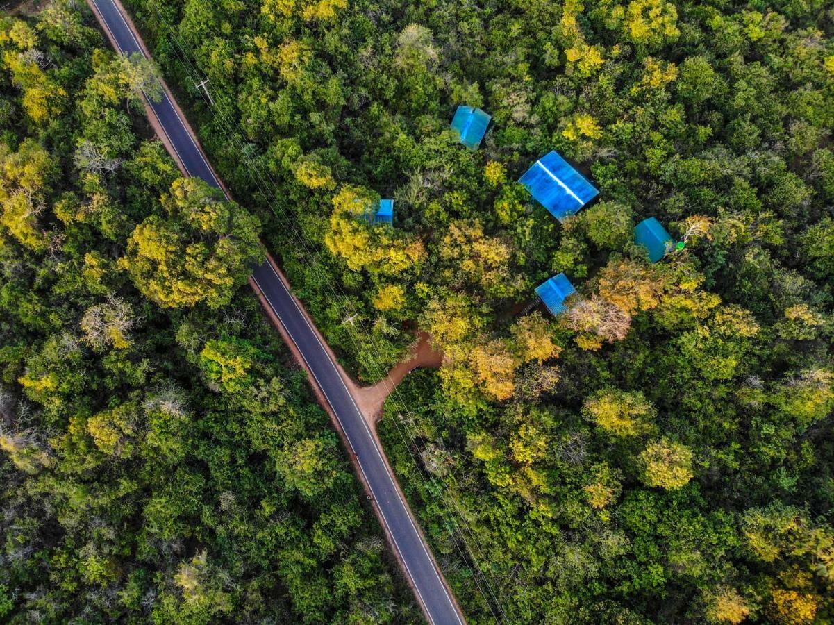 The Thick Forest Sigiriya Luaran gambar